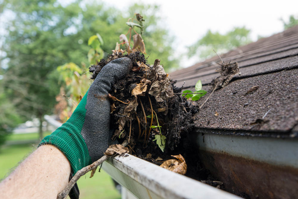 cleaning leaves and dirt out of roof guttters